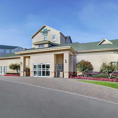 Homewood Suites By Hilton Burlington Exterior photo